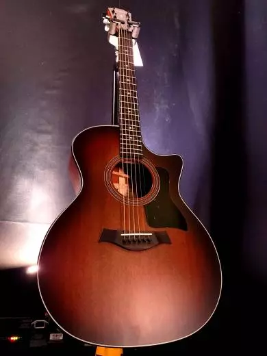 Taylor Guitars - 324CE V9 2